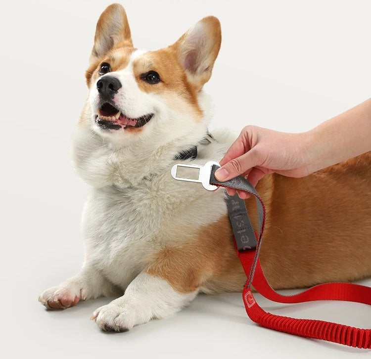 Car ride leash for pet 35-45inch