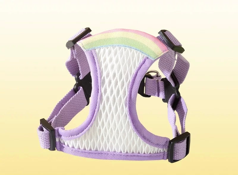 Rainbow Harness + Leash