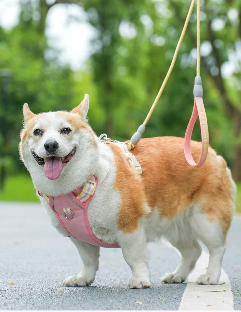 Anti-tangling 4.9 FT Rope Leash, Pink