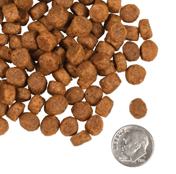 Fromm Gold Heartland Grain-Free Puppy Dry Dog Food - Supports Growth, Digestion & Lean Muscle - 4 lbs Bag