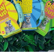 Glow Pup Rechargeable LED collar light for small dogs and cats
