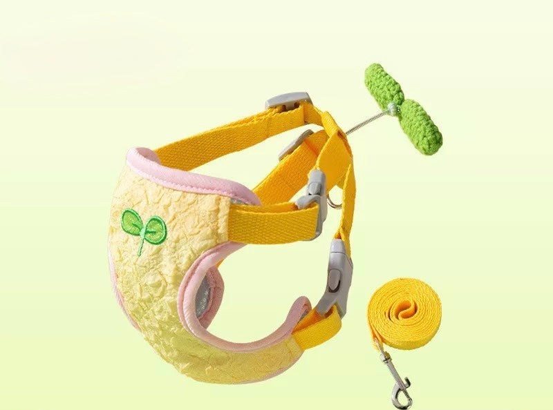 Rainbow Harness + Leash
