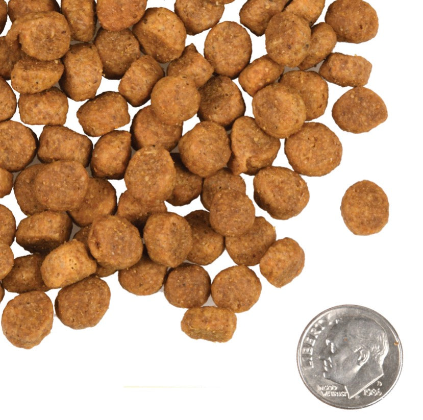 Fromm Heartland Gold Large Breed Puppy Dry Dog Food 4Lbs
