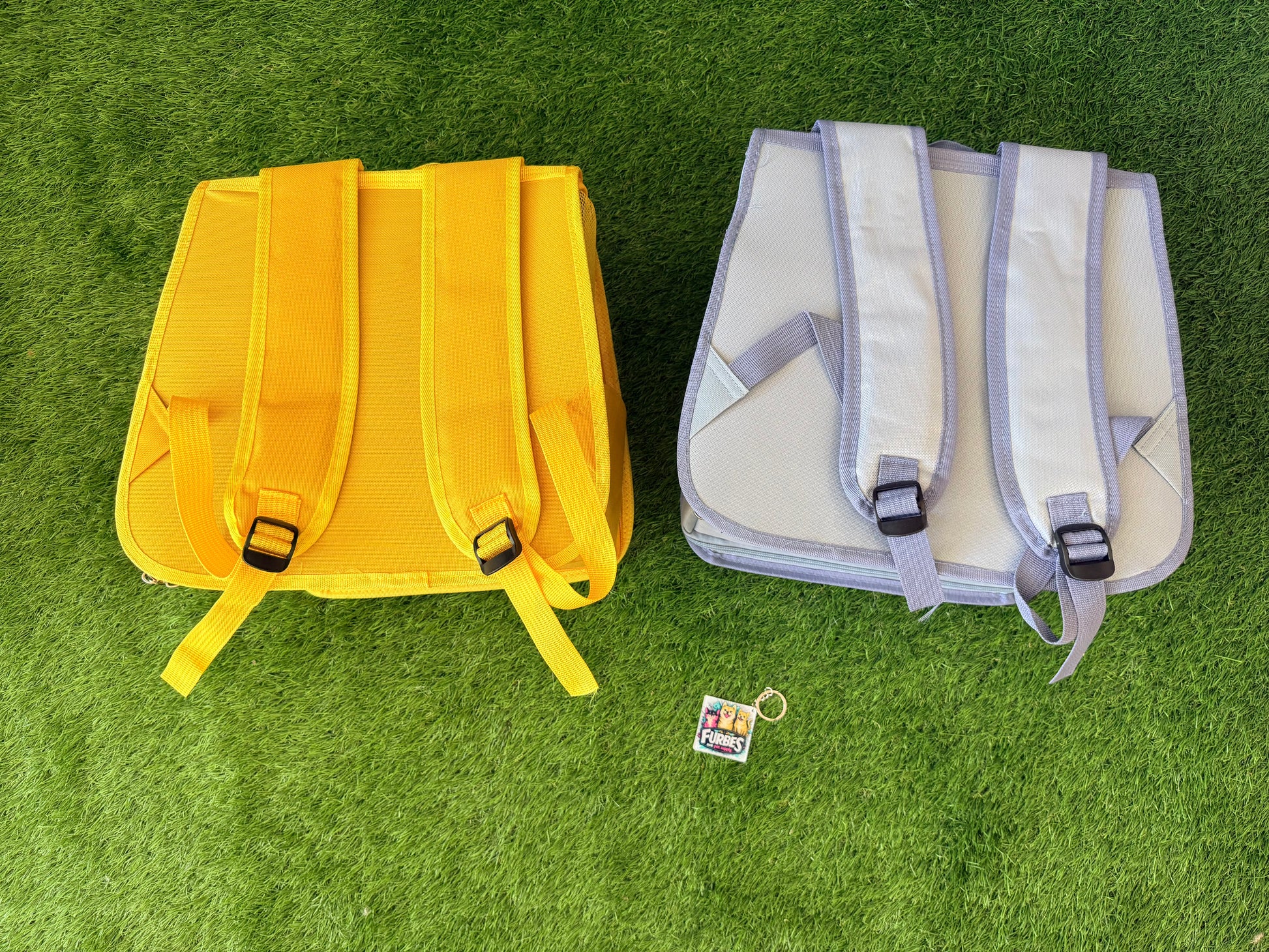 Pet Backpack Carrier for pet under 11 pounds