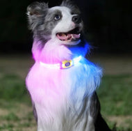 LaRoo Night Light Jelly Collar for Dogs / Cats