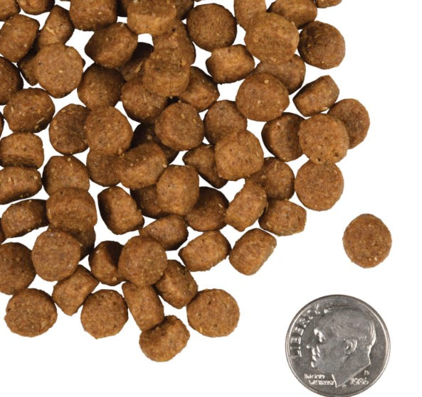 Fromm Gold Small Breed Adult Dry Dog Food - Supports Digestion, Lean Muscle & Complete Nutrition - 5 lbs Bag