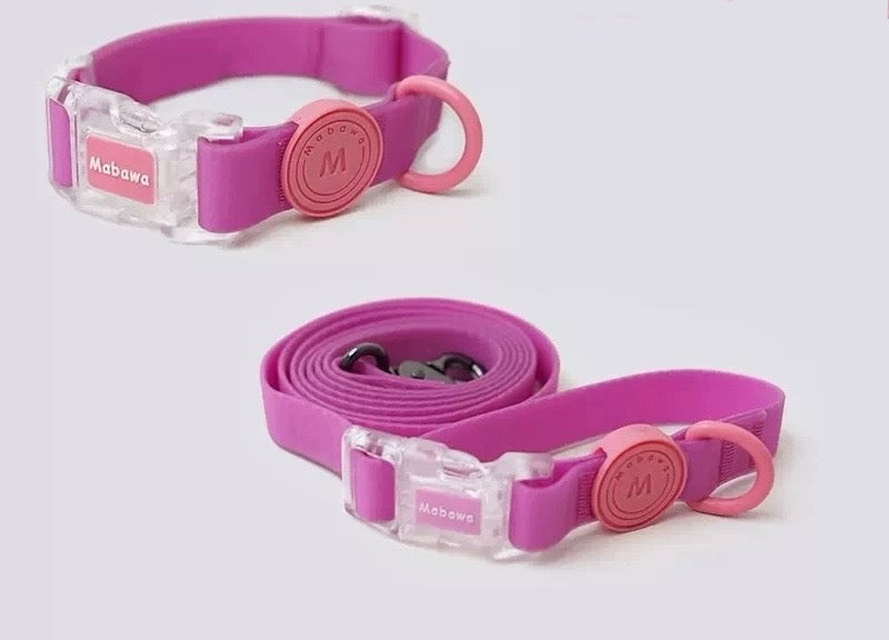 Waterproof collar and leash