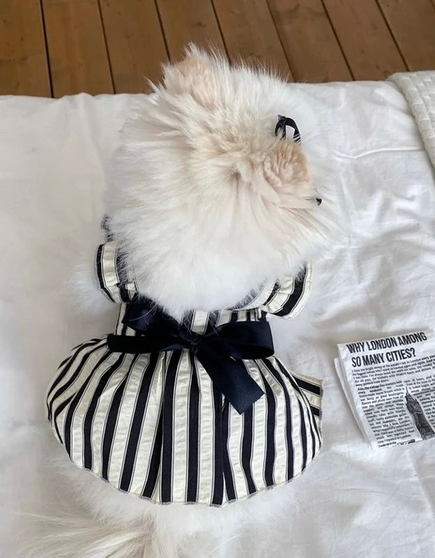 Summer Dress for dogs