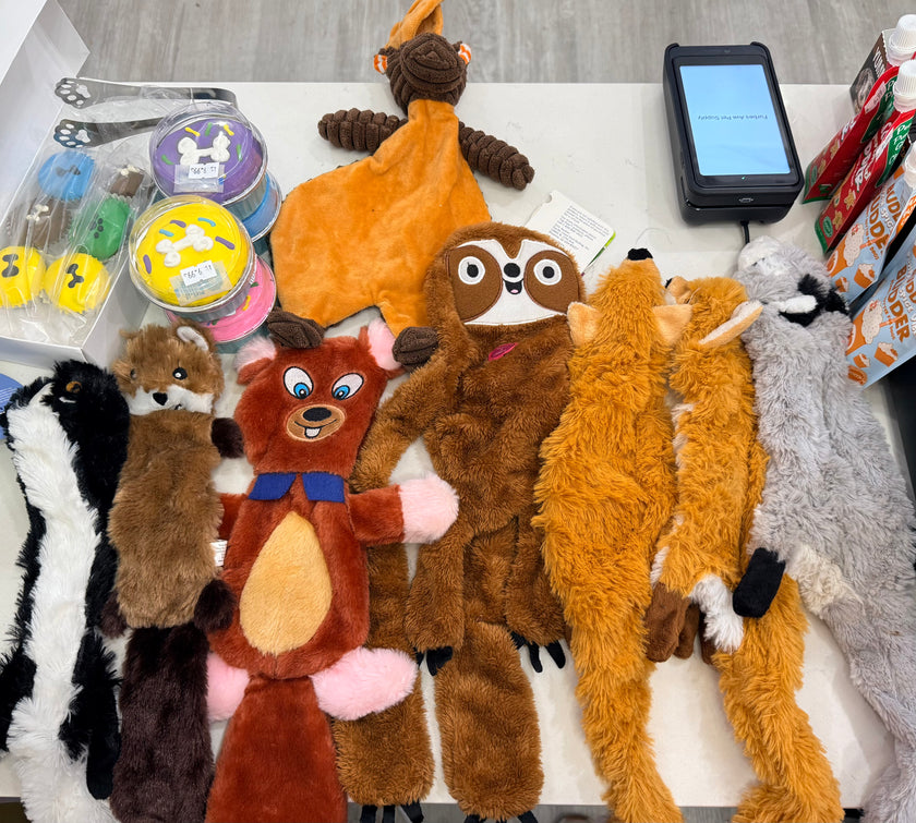 Unstuffed Animal Dog Toy 1ct