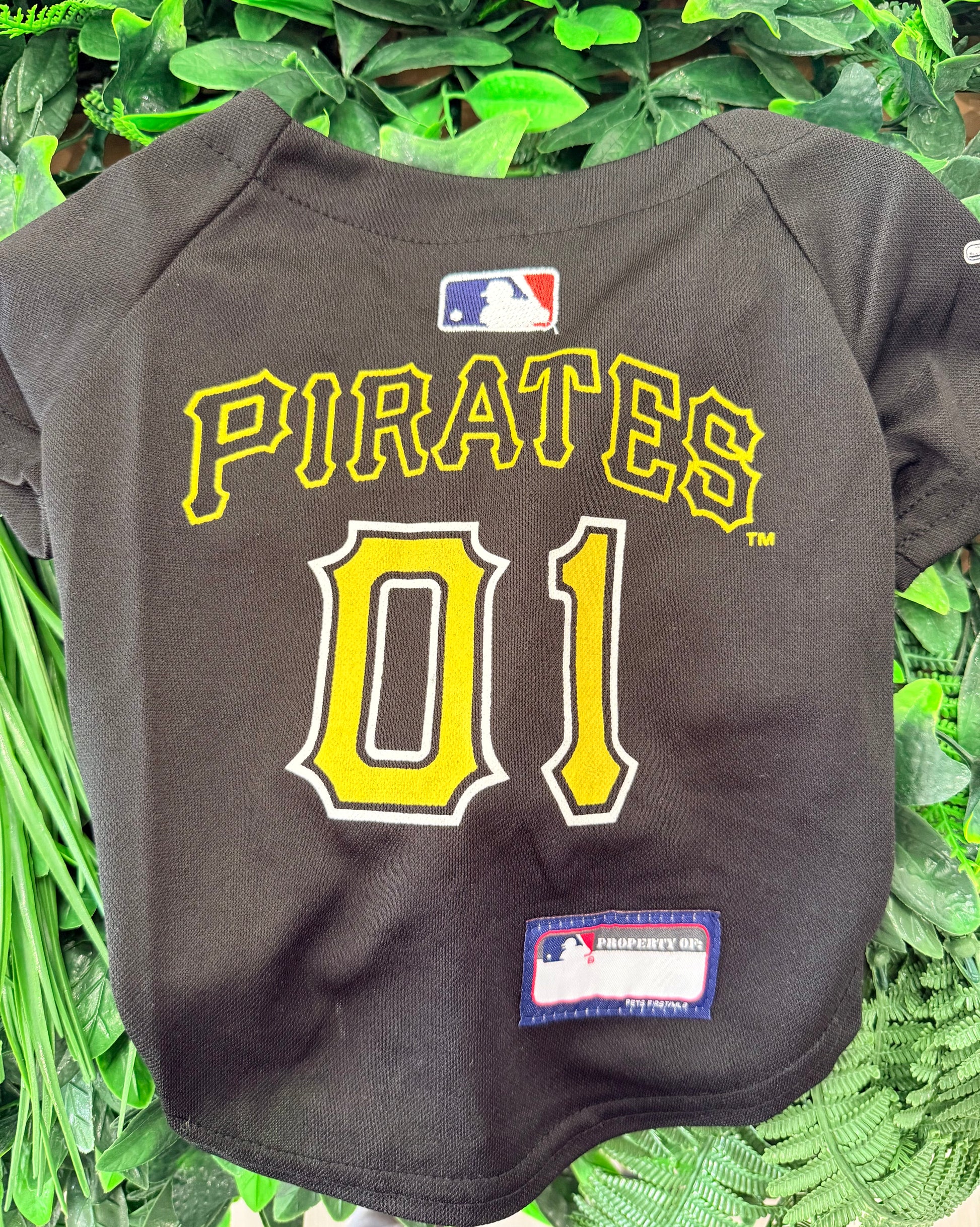 Pirates