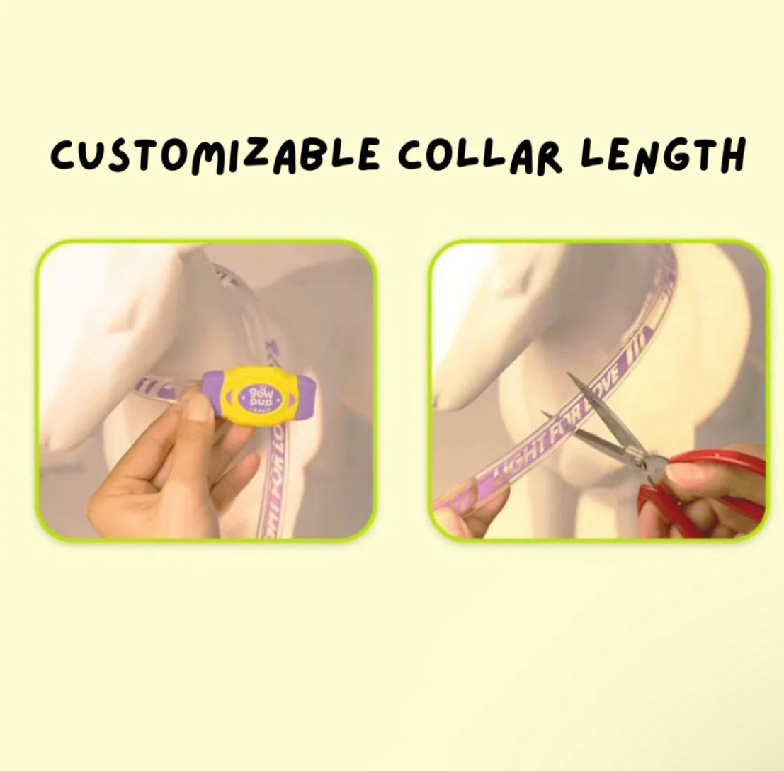 LaRoo Night Light Jelly Collar for Dogs / Cats