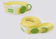 Waterproof collar and leash