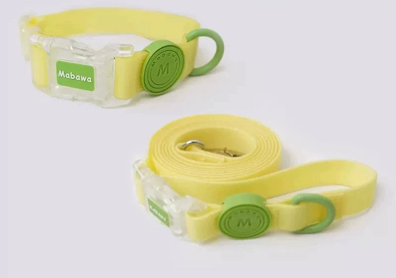 Waterproof collar and leash
