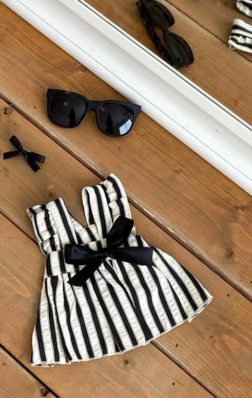 Summer Dress for dogs