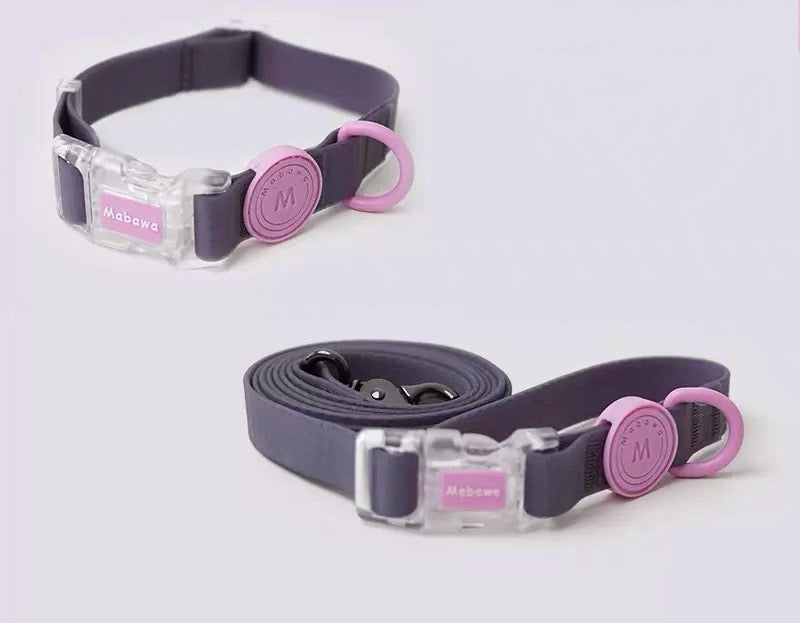Waterproof collar and leash