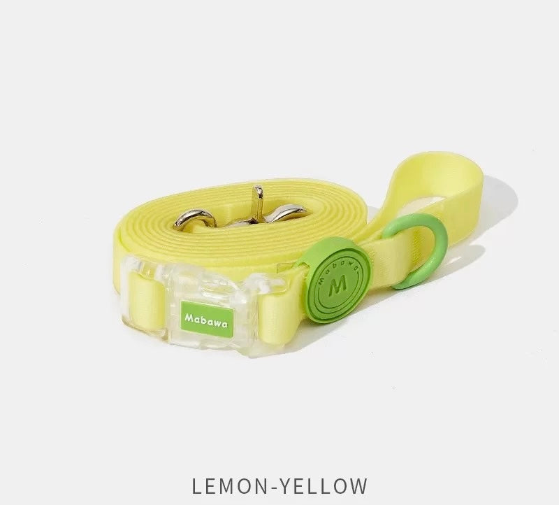 Waterproof collar and leash