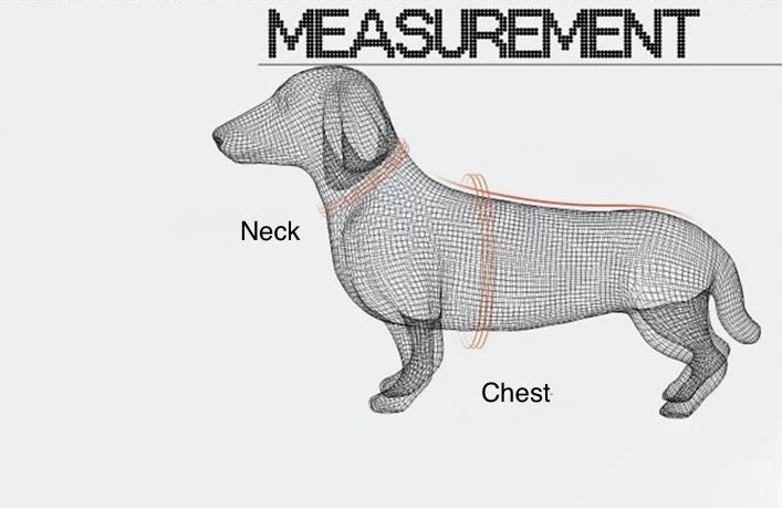 Doggy Harness + Leash Set