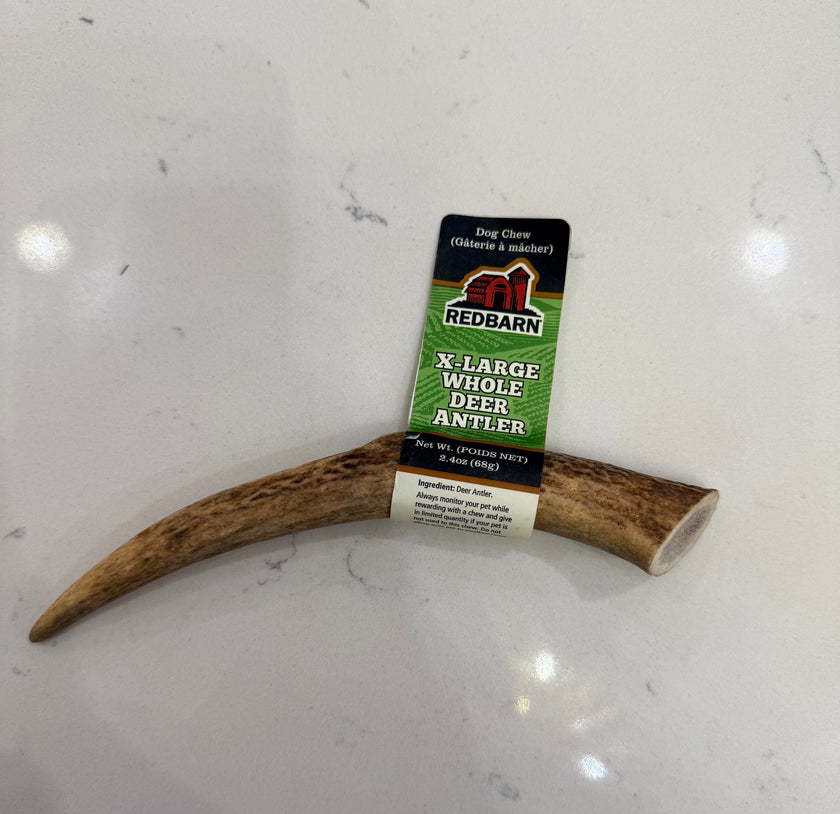 Redbarn X-Large Whole Deer Antler