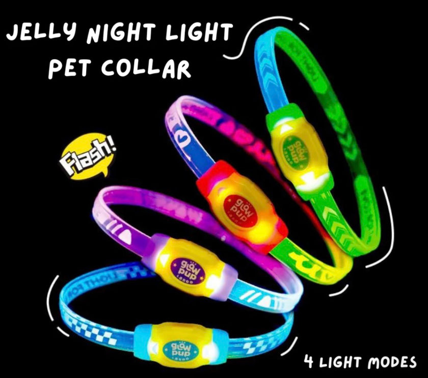LaRoo Night Light Jelly Collar for Dogs / Cats