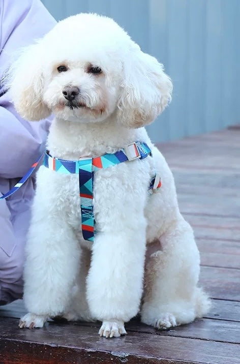 Kafuli Harness + Leash Series