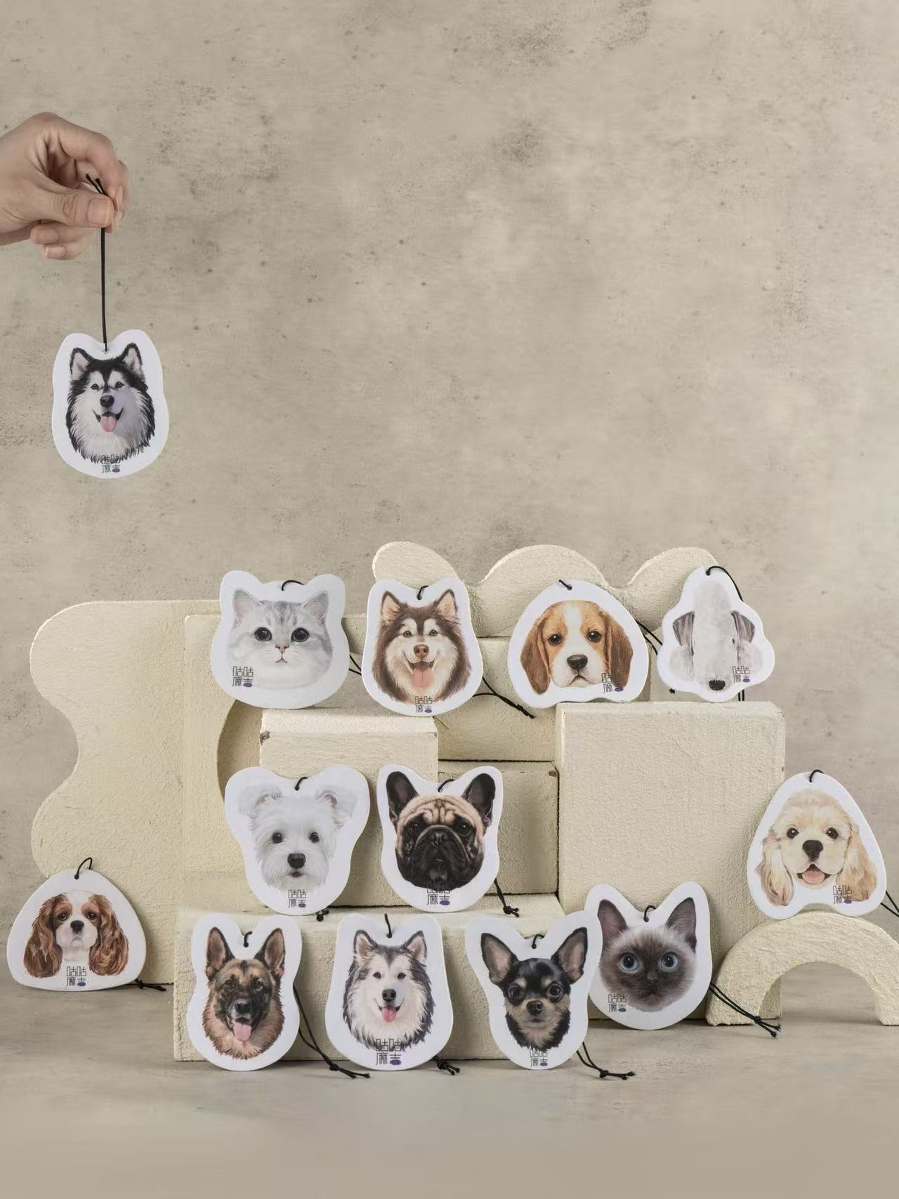 Air Freshener