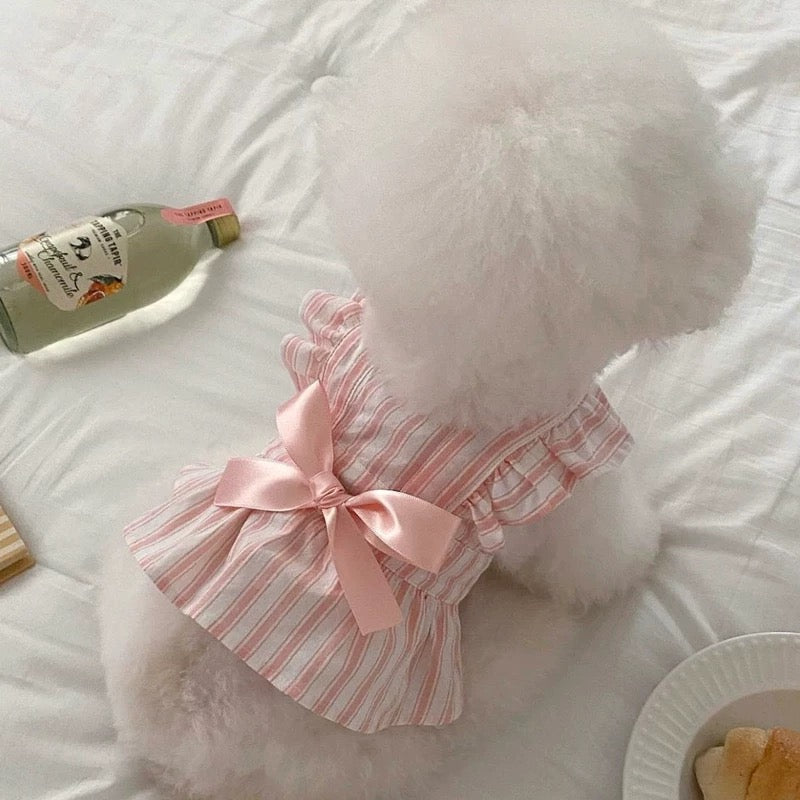 Summer Dress for dogs