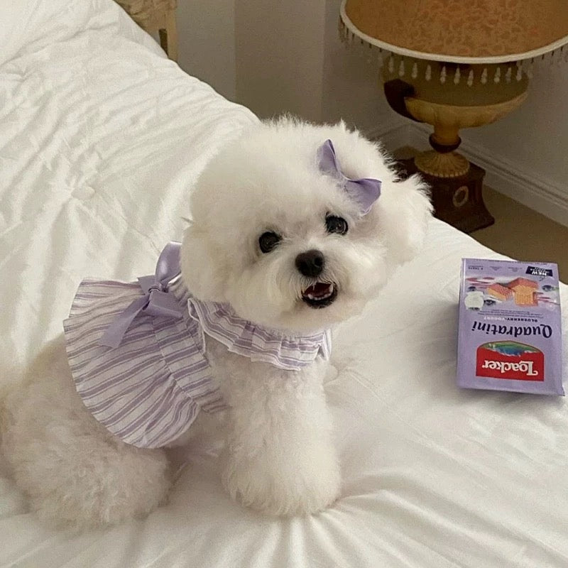 Summer Dress for dogs