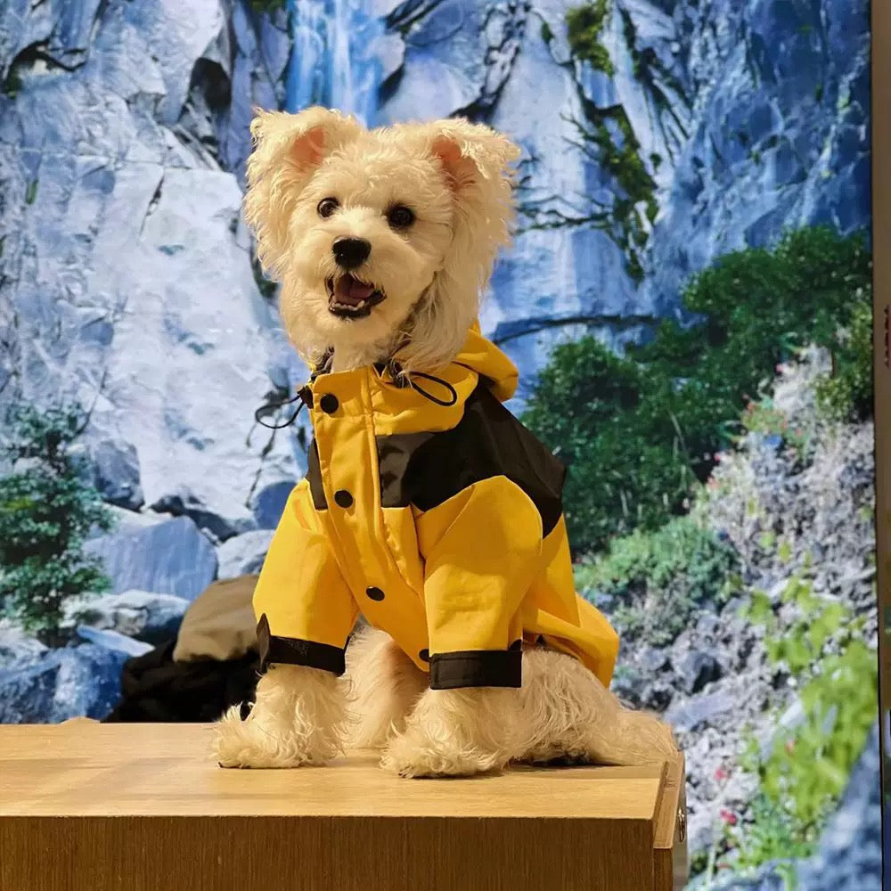 Raincoat Jacket