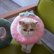 Cat Elizabeth Collar