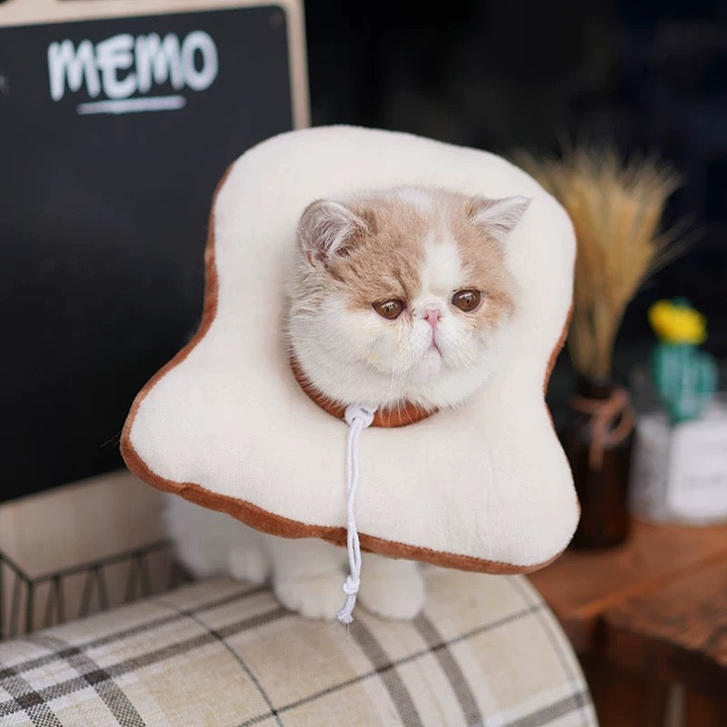 Cat Elizabeth Collar