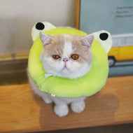 Cat Elizabeth Collar