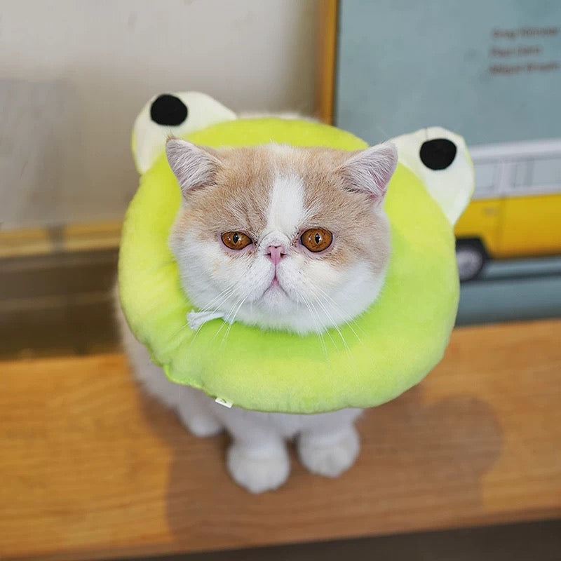 Cat Elizabeth Collar