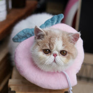 Cat Elizabeth Collar