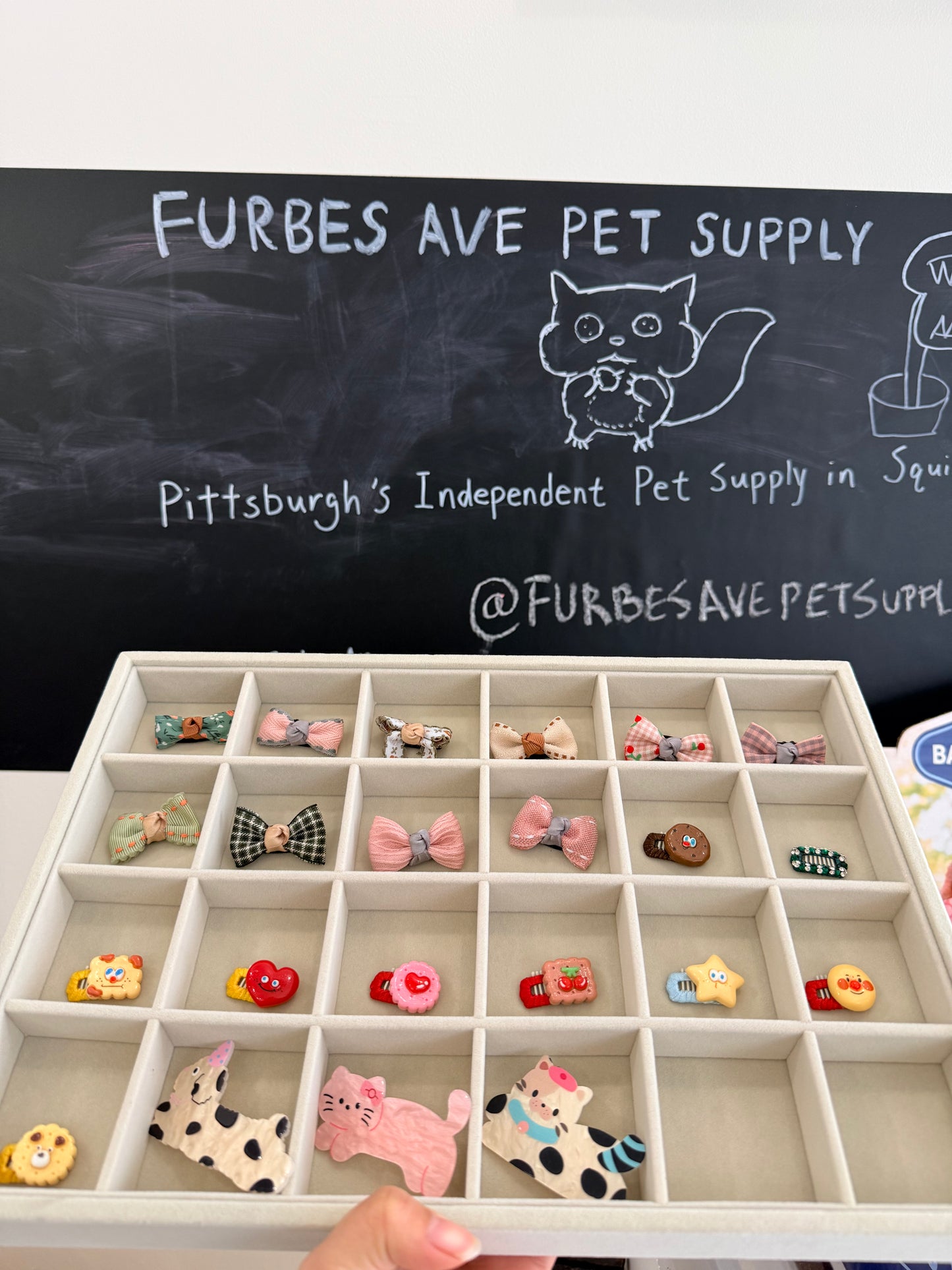 Pet Hair Clips and Accessories 1 ct (random)