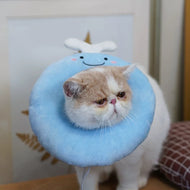 Cat Elizabeth Collar
