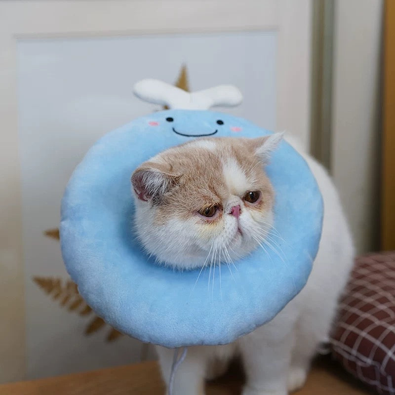 Cat Elizabeth Collar