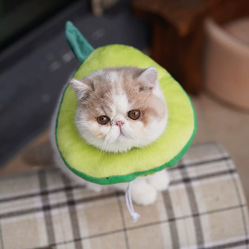 Cat Elizabeth Collar