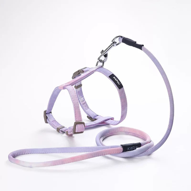 Cat H Style Harness Leash Set Anti-escape
