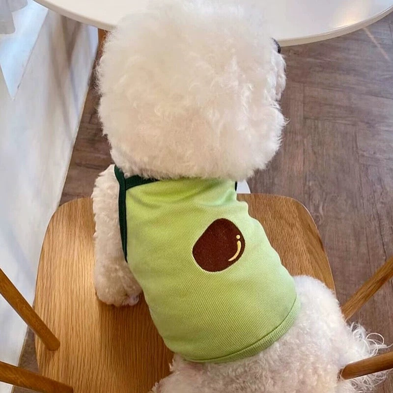 Shirts dog & cat