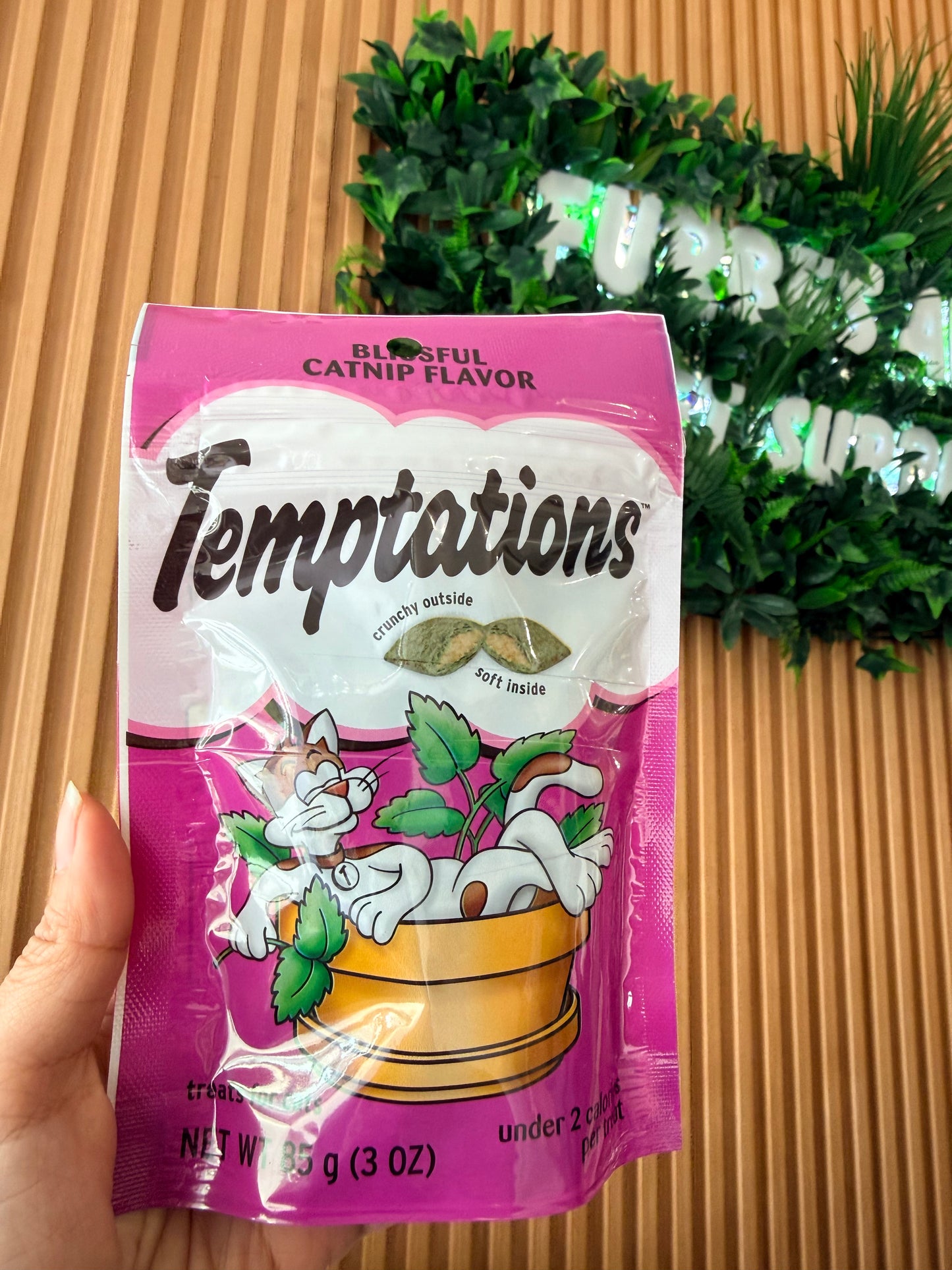 Temptations Blissful Catnip Flavor treats for cats