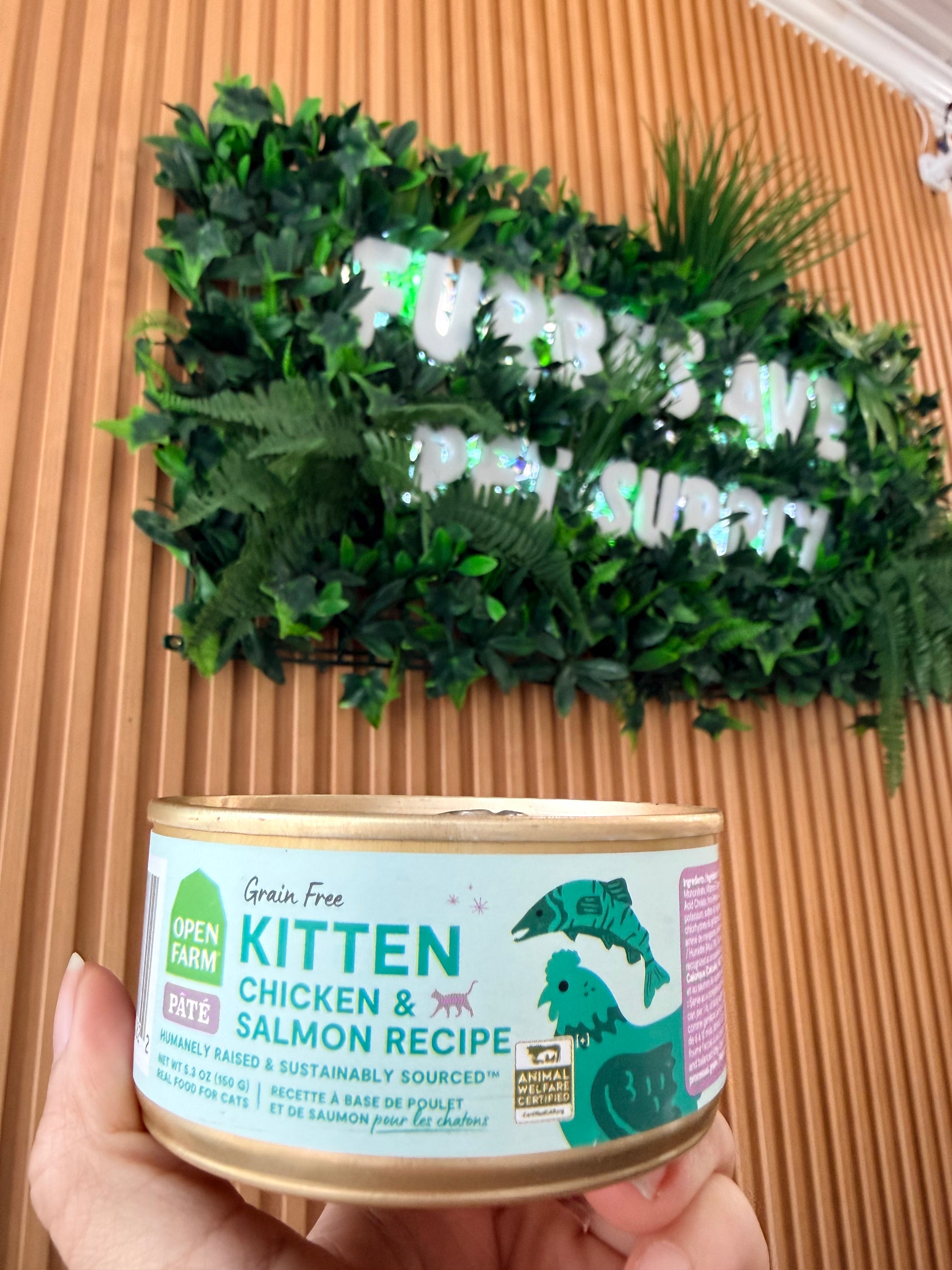 Open Farm Grain Free Kitten Chicken and Salmon Pate 5.3 oz