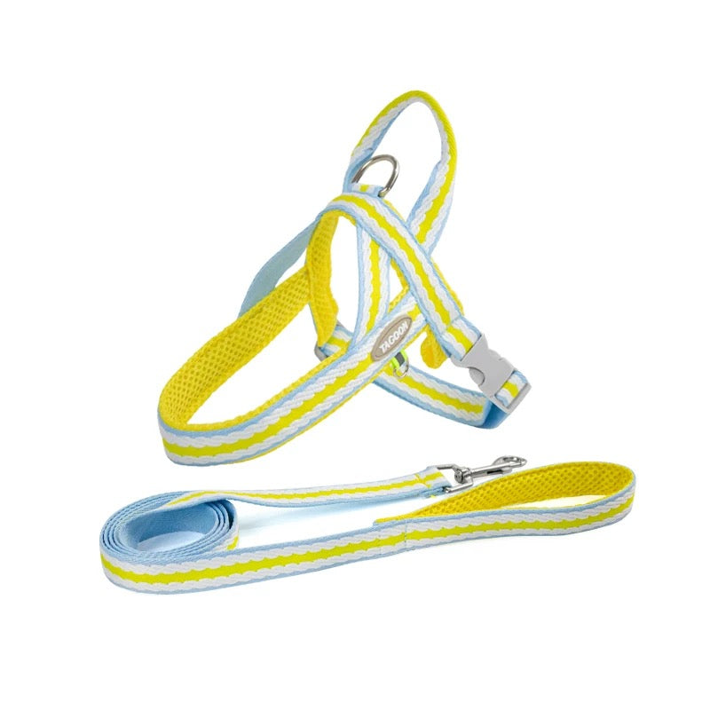 Tagoon Harness & 4.5FT Leash set