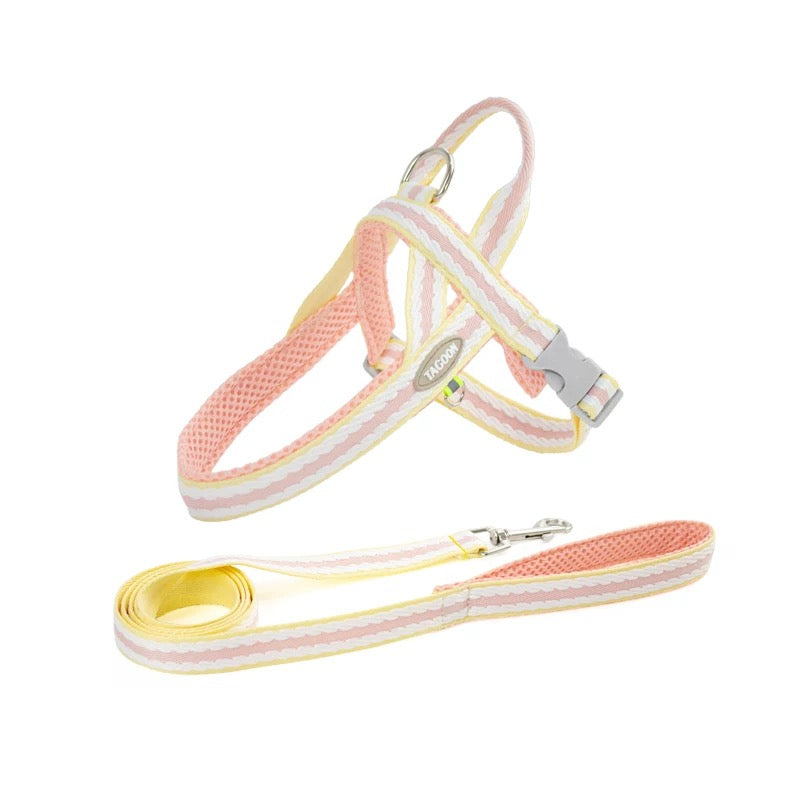 Tagoon Harness & 4.5FT Leash set