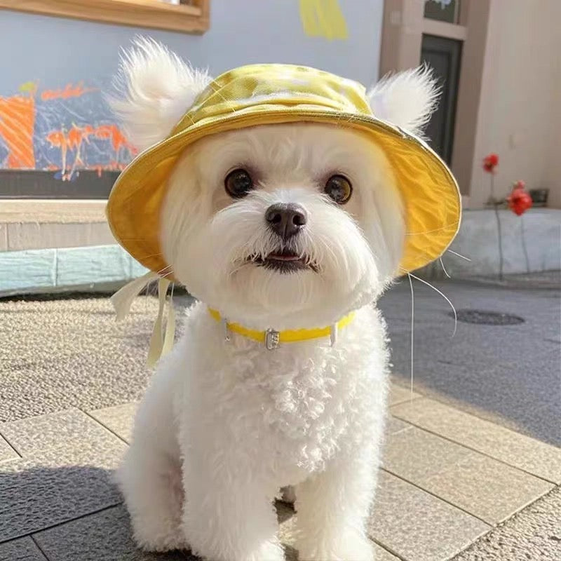 Little Yellow Sun Hat