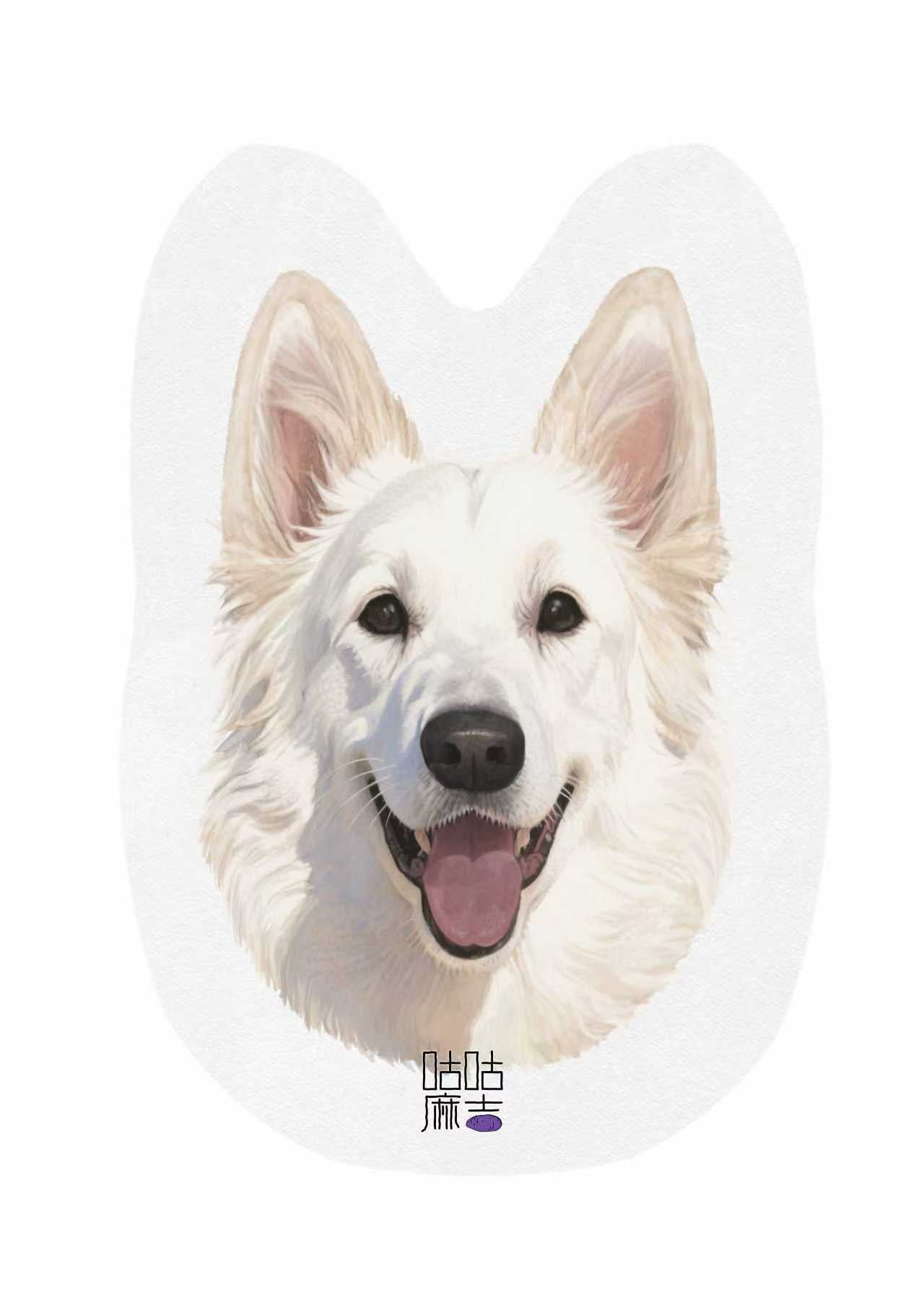 Air Freshener