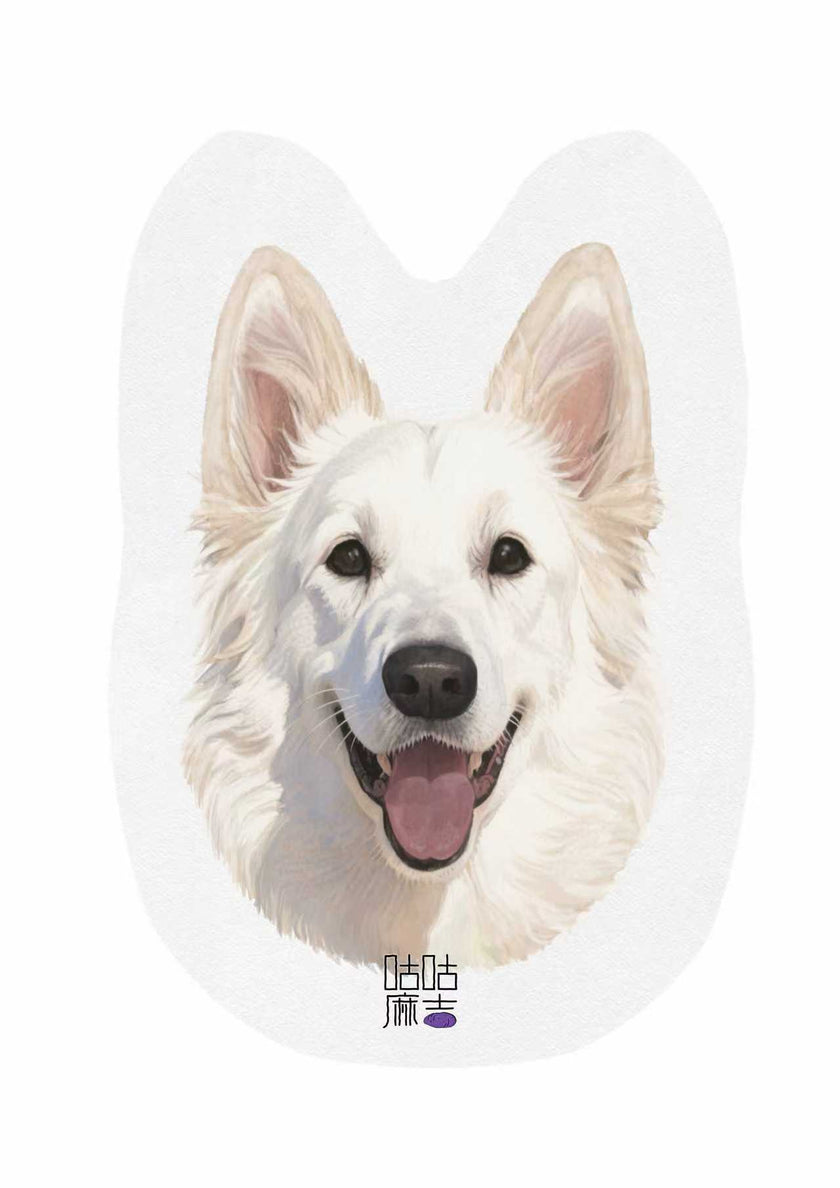 Air Freshener