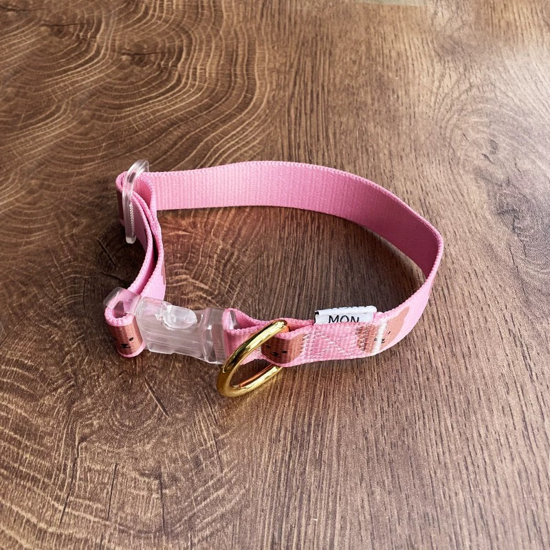 Bear Print Collar & Leash