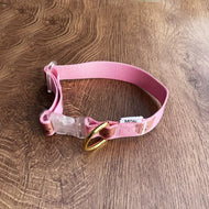 Bear Print Collar & Leash