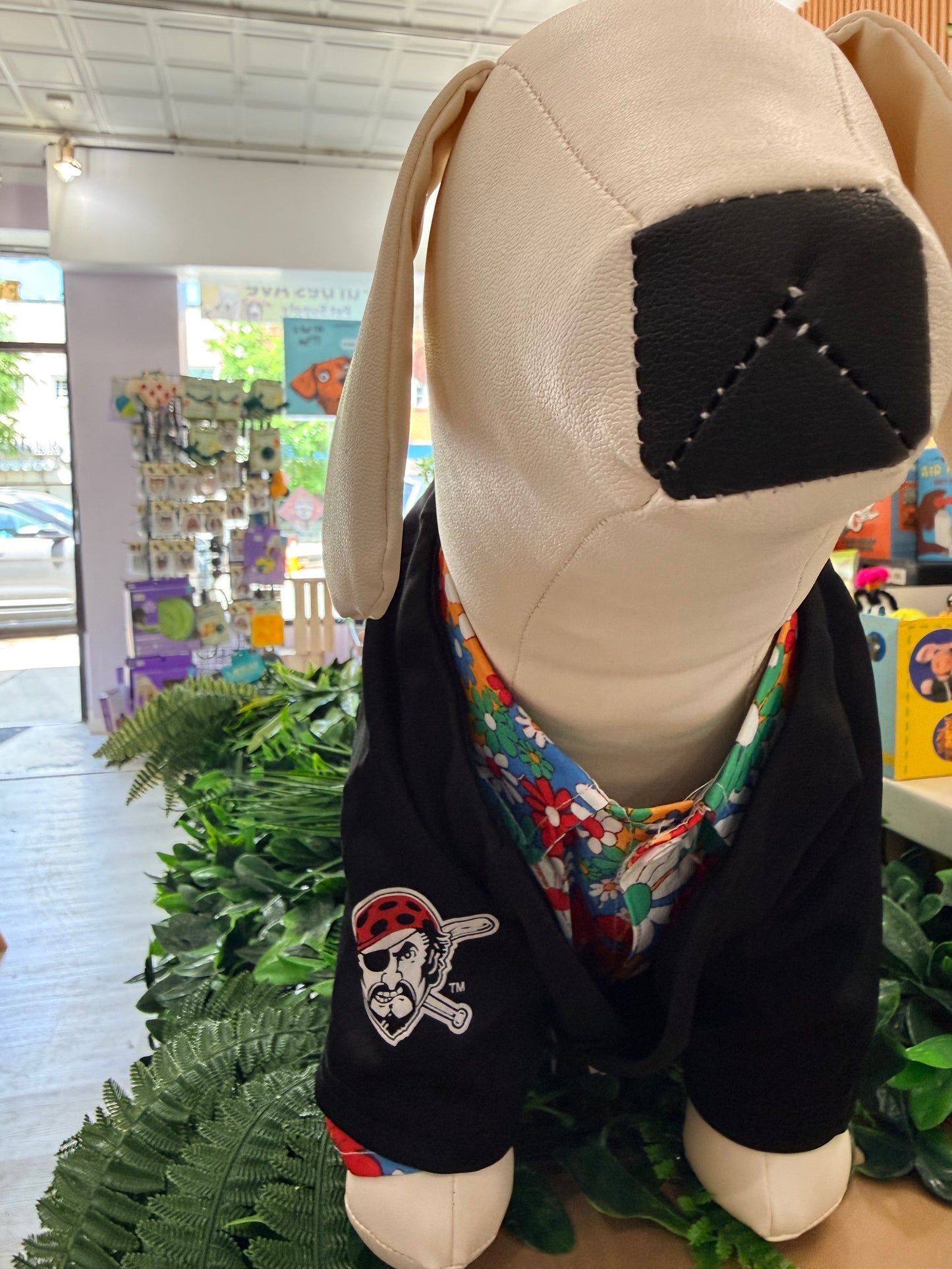 Pirates