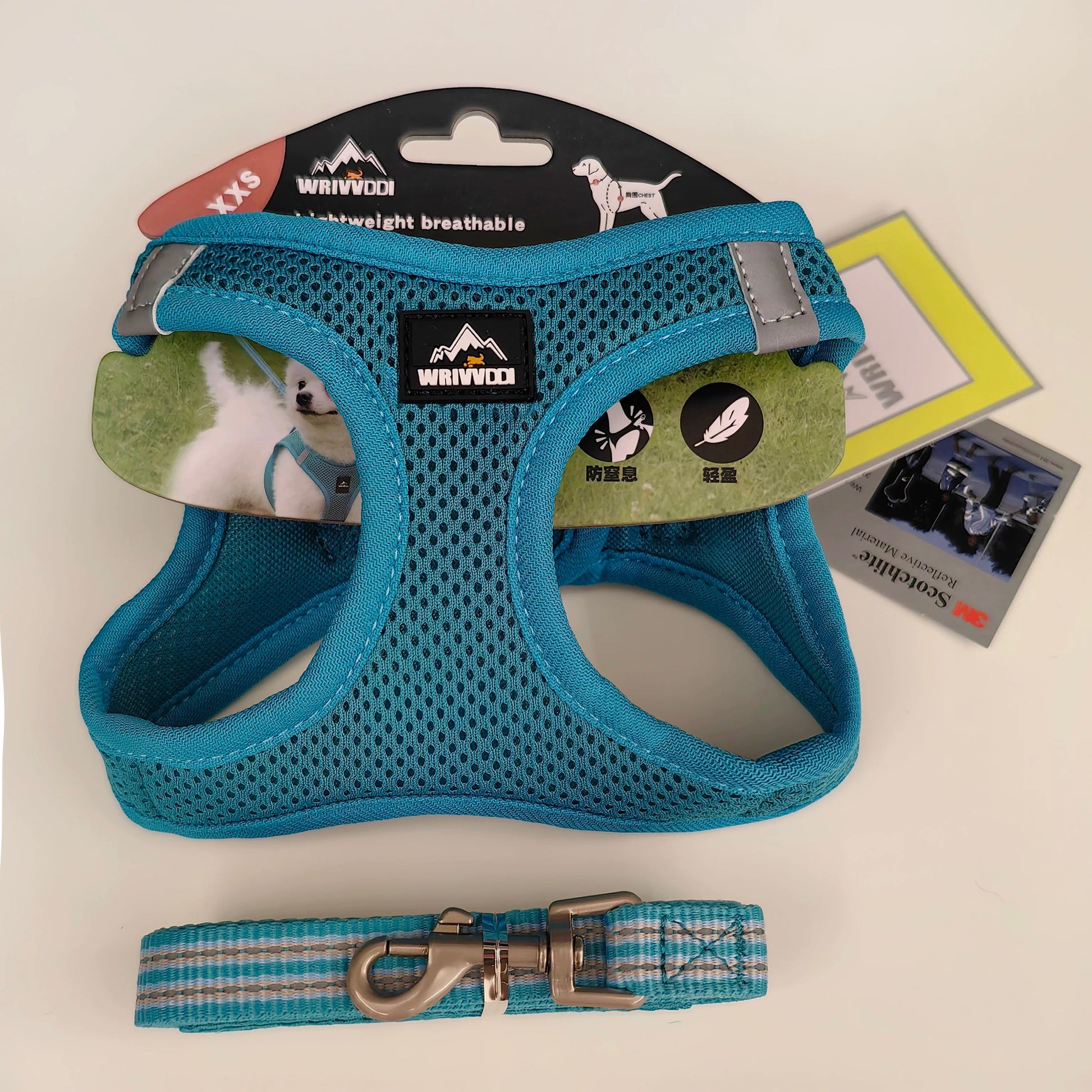 Dog and Cat Harness Set